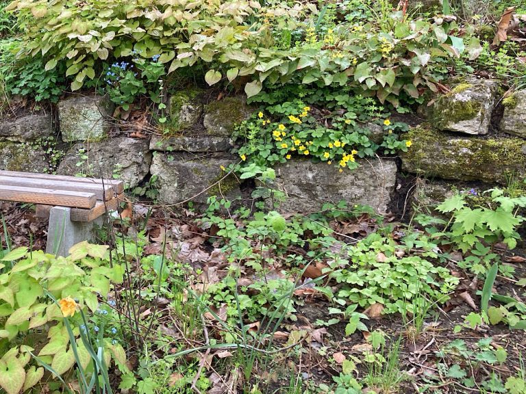 Gemeinsam im Garten
