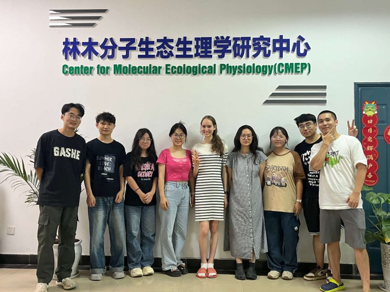 Grüße aus Chongqing – Mein Abenteuer in China