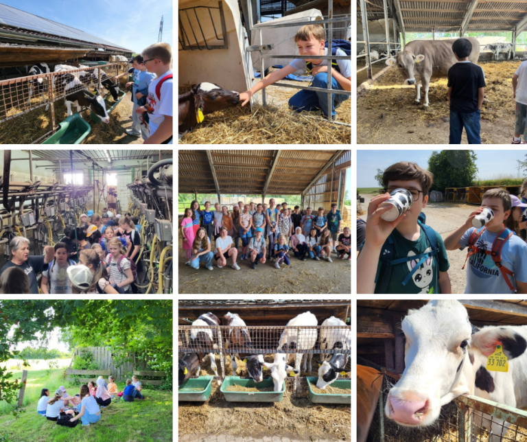 Die Klassen der 5. Jahrgangsstufe besuchten den Milchbauernhof Gehrke in Groß Sisbeck!